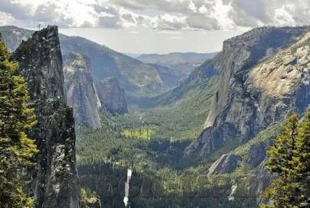 大象传媒的美女-美女与大象传媒，文化与艺术的交融
