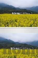 破解版麻豆视频-绿色网络，共享美好——关于版权与网络道德的思索