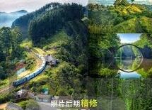 糖心app绿色-深入解析糖心App的绿色价值观与实践