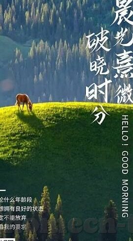 糖心app下载苹果-糖心App的魅力，苹果用户不容错过的秘密花园