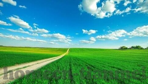 亚洲av色噜噜男人的天堂麻豆-解锁探索，亚洲的奇幻色彩——男性在天堂与麻豆间的寻觅之旅